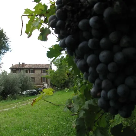 Nocleg ze śniadaniem I Vigneti Salionze