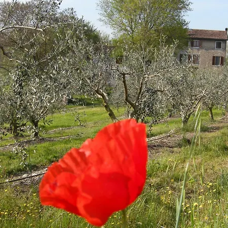 I Vigneti Salionze