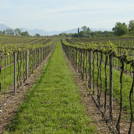 Frühstückspension I Vigneti 3*