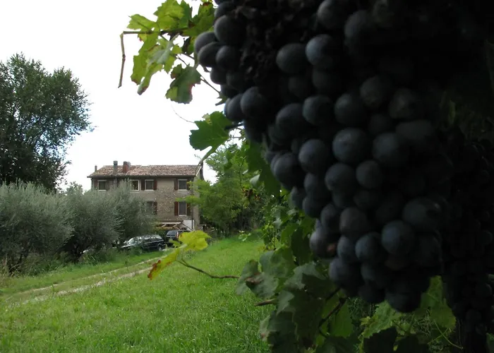 Nocleg ze śniadaniem I Vigneti Salionze