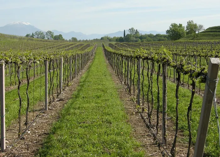 Nocleg ze śniadaniem I Vigneti 3*